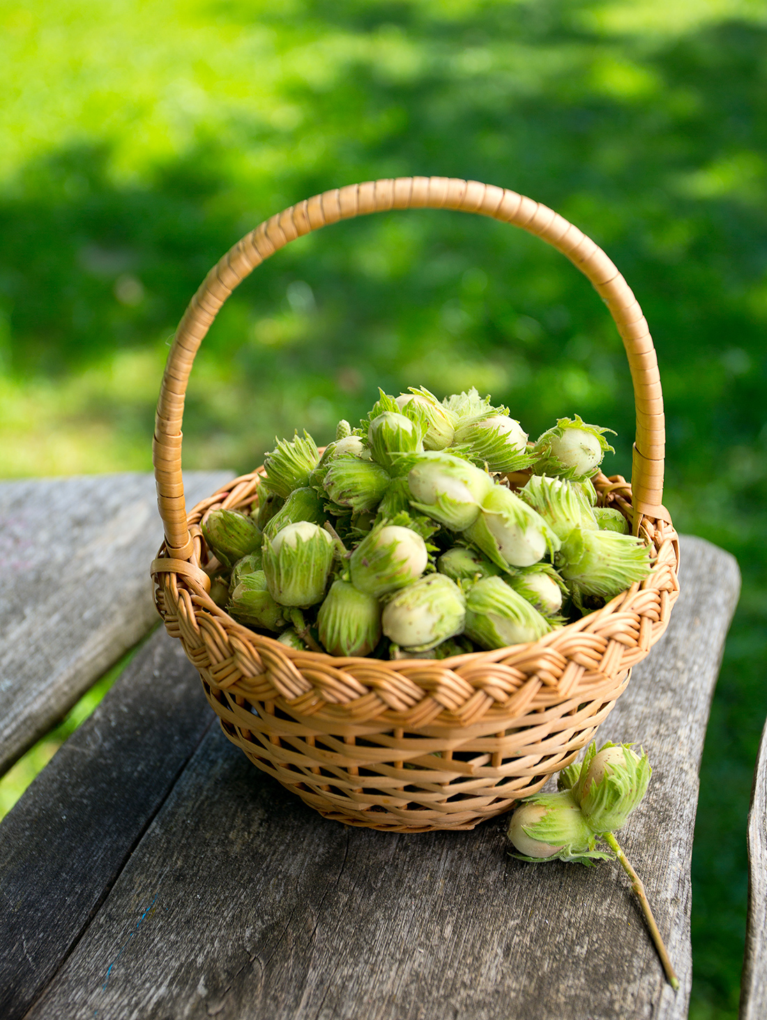 production-hazelnuts-basket