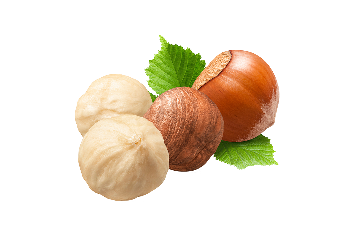 Ürünlerimiz